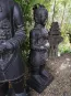 morepic-3